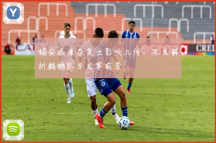 锡安威廉森复出影响几何？深度解析鹈鹕队季后赛前景