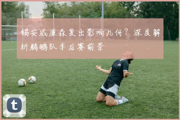 锡安威廉森复出影响几何？深度解析鹈鹕队季后赛前景