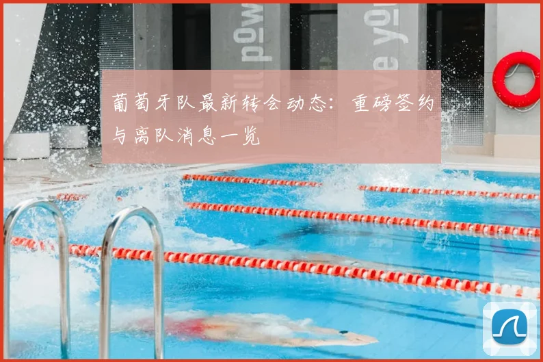 葡萄牙队最新转会动态:重磅签约与离队消息一览