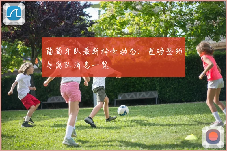 葡萄牙队最新转会动态：重磅签约与离队消息一览